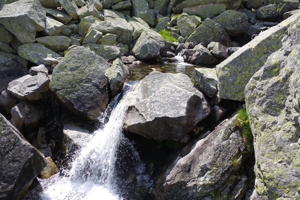 Studio Livia Vysoké Tatry Buitenkant foto