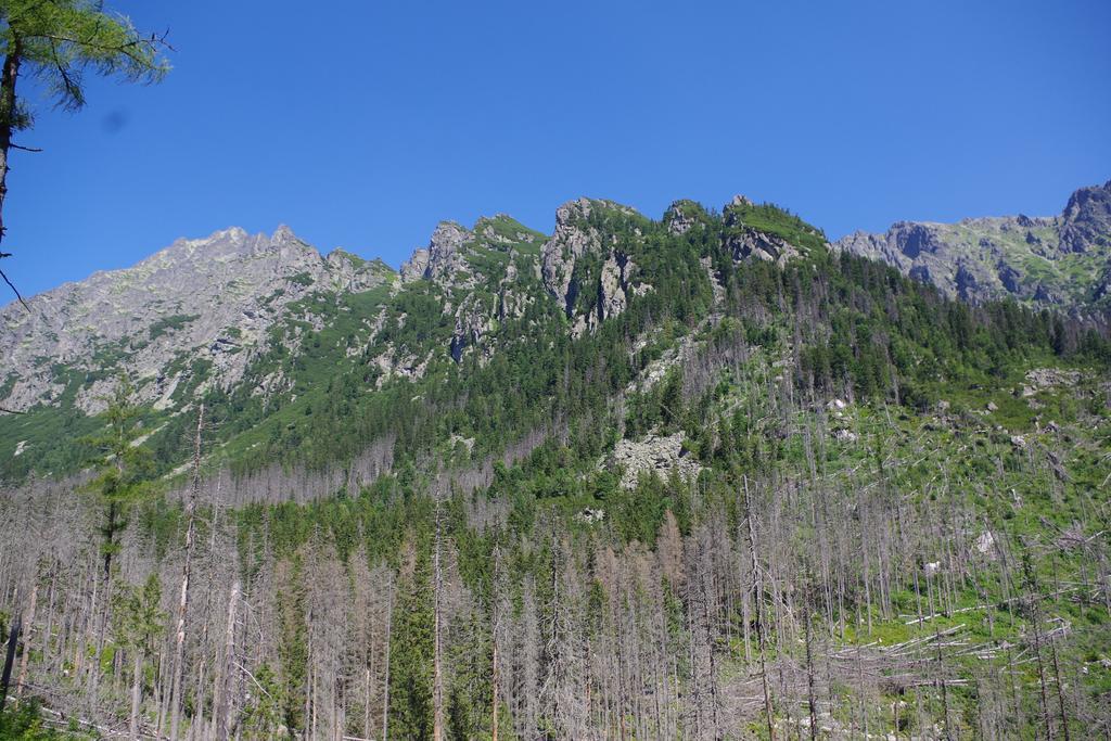 Studio Livia Vysoké Tatry Buitenkant foto